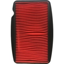 Brenta Honda Cbf 150 Hava Filtre