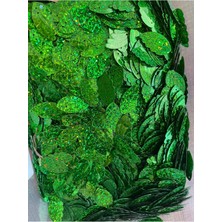 Gönülden Tasarım Yeşil Yaprak Delikli Lazer Kesim Birinci Kalite Çanta Perde Supla Pul Payet 50 gr 3 cm