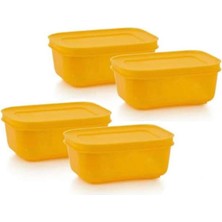 Tupperware Alaska Kap 4'lü 450 ml Buzluk Saklama Kabı Turuncu