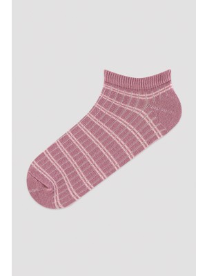 Penti Çok Renkli Çizgi Desenli 3'lü Patik Çorap