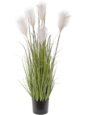 Nettenevime Yapay Çiçek Beyaz Püskül Grass Panpas Saz Siyah Aleminyum Saksıda