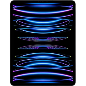 iPad Pro 6.Nesil 2TB 12.9" Wi-Fi Cellular Tablet - MP273TU/A Gümüş