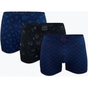 Erkek Desenli 3 Lü Paket Modal Boxer 3M251
