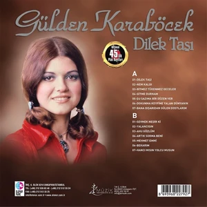 Elenor Plak Gülden Karaböcek /  Dilek Taşı (PLAK)