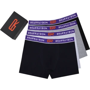 Erkek Boxer 3'lü