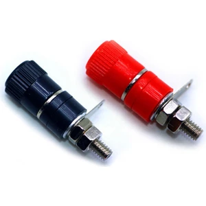 Rob Ada  Born Dişi Jak Orta Boy - 4mm