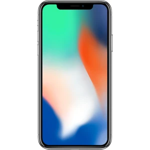 iPhone X 256 GB Silver