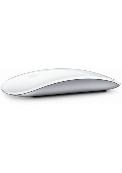 Magic Mouse 2 MK2E3TU/A