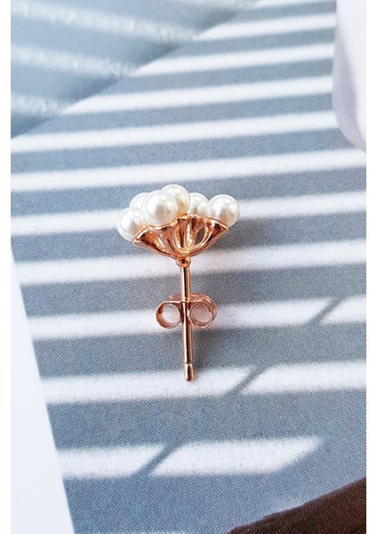 Tekli Rose Ithal 6 Toplu Inci Gümüş Küpe fırsatları