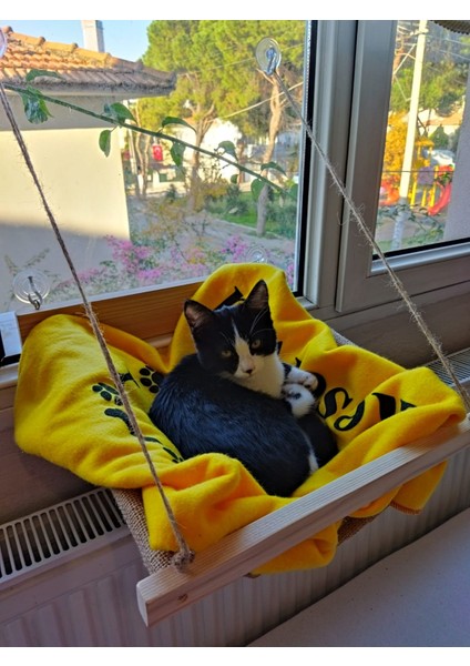 Ahşap Kedi Yatağı