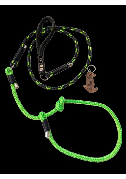 Köpek gezdirme kayışı boyun tasmalı küçük ve orta ırk halat yeşil siyah kalınlık:8mm uzunluk:120cm tasma: standart ayarlamalı dog leash TB5-15