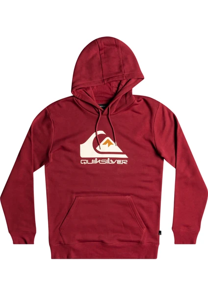 Big Logo Hood Erkek Sweatshirt EQYFT04450