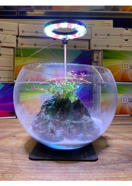 5 V 7W Fanus Aydınlatma & Teraryum Aydınlatma & Nano Akvaryum LED Aydınlatma Yuvarlak – Halka