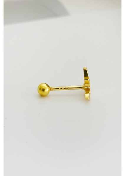 Ithal Yarasa Gümüş Piercing Küpe
