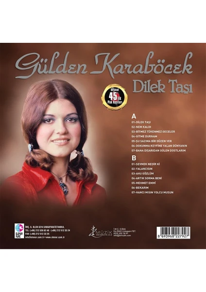 Elenor Plak Gülden Karaböcek /  Dilek Taşı (PLAK)