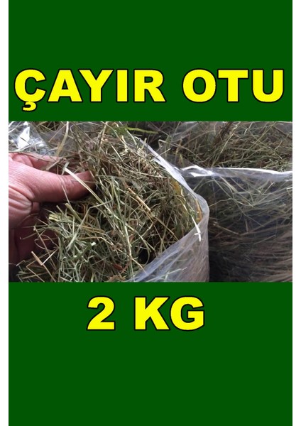 Çayır Otu 2 kg Kemirgen Otu Çayırotu Samanı Tavşan Guinepig Hamster Hep Yeni Mahsül