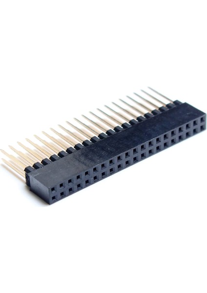 Raspberry Pi İçin 2 x 20(40 Pimli) Istifleme Başlığı A+ / B+ / Pi 2 / Pi 3 Ekstra Uzun Başlık (4'lü Paket) (Yurt Dışından)