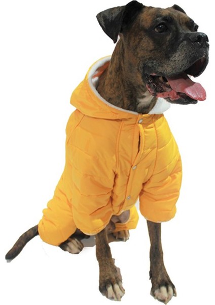 Sport Orta-Büyük Irk Köpek Yağmurluk Tulumu Sarı