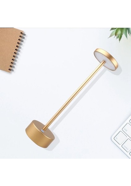 Ct 8431 Masa Lambası