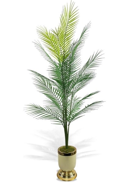 Yapay Ağaç Areka Ağacı Salon Bitkisi Krem Gold Metal Vazoda 130 cm 12 Yaprak