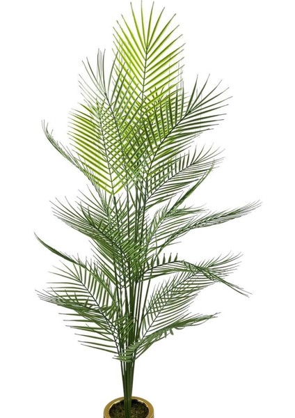 Yapay Ağaç Areka Ağacı Salon Bitkisi Siyah Gold Metal Vazoda 130 cm 12 Yaprak fırsatları