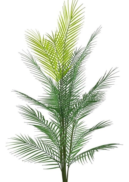 Yapay Ağaç Areka Ağacı Salon Bitkisi Krem Gold Metal Vazoda 130 cm 12 Yaprak fırsatları