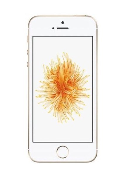 iPhone SE 32 GB (Apple Türkiye Garantili) Gold