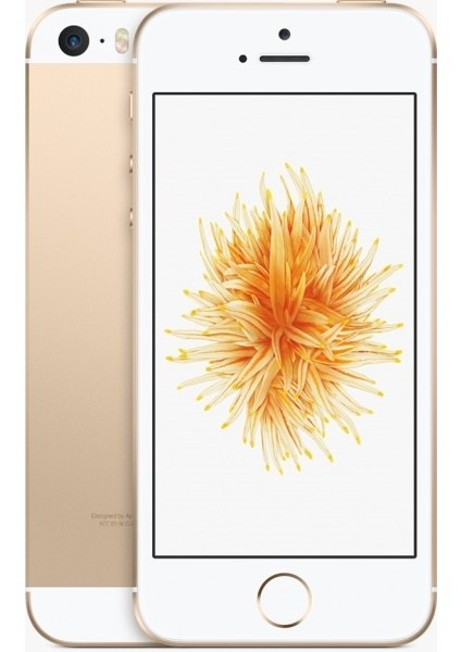 iPhone SE 32 GB (Apple Türkiye Garantili) Gold modelleri