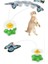 Greenpet Pilli Dönen Kelebek Kedi Oyuncağı 1