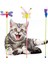 Kedi Çubuğu Oyuncakları - Mavi (Yurt Dışından) 3