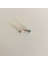 G23 Titanyum Muz Piercing - 1 Adet 1