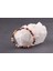 Sertifikalı Jasper Doğal Taş Bileklik 6 mm 4