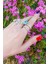 Ithal Full Butterfly Gümüş Yüzük 4