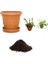 Venüs Fly Trap ve Nephentes Tohumu Ekim Seti 1