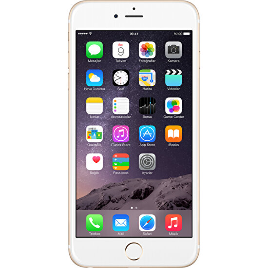 Yenilenmiş Apple iPhone 6 16 GB (12 Ay Garantili) - A Grade