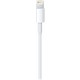 Apple USB-C - Lightning Kablosu (1 m) - MM0A3ZM/A  (Apple Türkiye Garantili)