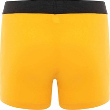 Cipo & Baxx CX100 Sarı Boxer