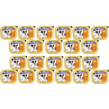 Plaisir Pate Ezme 22 Adet Tavuklu Yavru Köpek Konserve Maması 150 gr Puppy