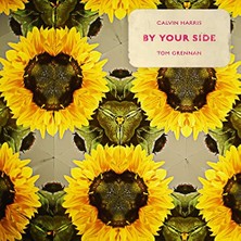 Calvin Harris By Your Side - Single Plak