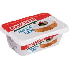 Bahçıvan Laktozsuz Labne 200 G