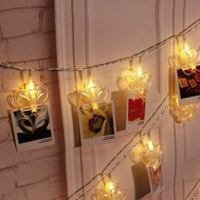 Kuzey Butterfly Clips String LED Lights Pilli Kelebek Mandal LED Işık Gün Işığı LED Işık Yılbaşı Ağacı Işığı  Pilli LED Işık