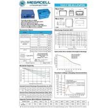 Megacell 12 V 100 A Amber Abs  Kasa Lifepo4 Akü