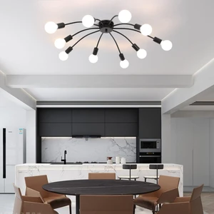 Simaavize Modern Ceiling Avize
