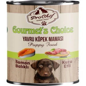 24 Adet Gourmet's Choice Yavru Köpek Maması | 415 gr Somon Balıklı & Kuzu Etli Konserve Yaş Mama