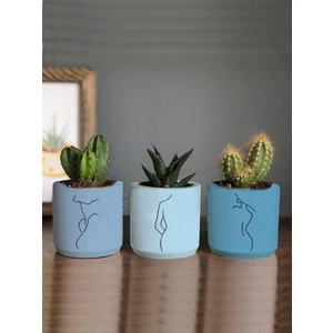 Dekozayn Home Minimalist Kadın Çizimli 3lü Set Kaktüs ve Sukulent Saksısı Hediyelik (Çiçeksiz)
