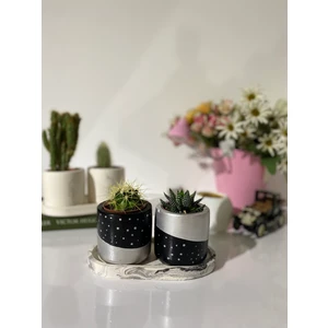 Dekozayn Home  Tabaklı Gümüş Işlemeli Saksı Seti KalemlikÇiçeksiz