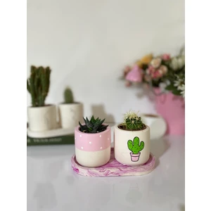 Dekozayn Home Tabaklı Pembe Tatlı Kaktüs Desenli El Çizimi Saksı Seti Hediyelik Kalemlik(Çiçeksiz)