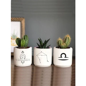 Dekozayn Home Terazi Burcu Sukulent ve Kaktüs Saksı Seti Yada Masaüstü Kalemlik Hediyelik