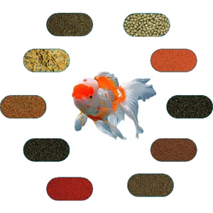 Oranda Yem Paketi 50 Gr/ad (6 Çeşit)