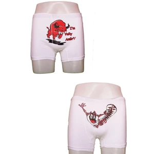 Erkek  Baskılı Boğa Tazmanya Boxer Set